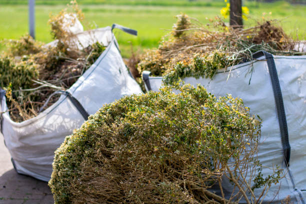 Best Shed Removal  in Manville, NJ